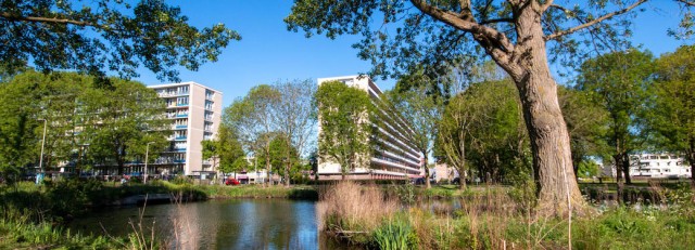 header-wijk-overvecht.jpg