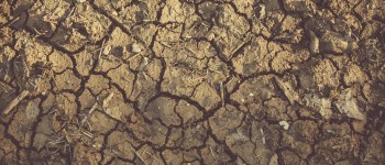 Grond barsten bruin.jpg