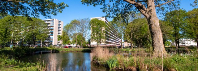 header-wijk-overvecht.jpg