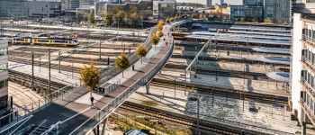 Moreelsebrug.jpg