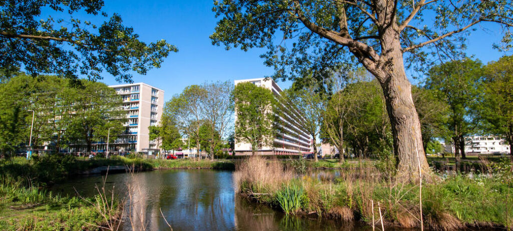 Klimaatcrisis tegengaan bij ontwikkeling Overvecht